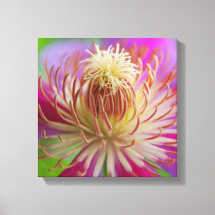 Impressão Em Tela Clematis I
