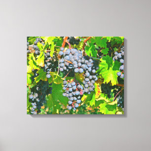 IMPRESSÃO EM TELA "CLUSTERS DE UVAS-ROUPA AZUIS EM VINHA"