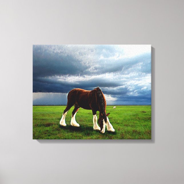 Impressão Em Tela Clydesdale Storm (Frente)