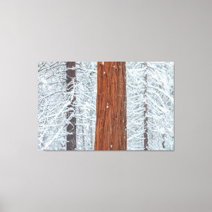 Impressão Em Tela Coberta