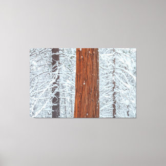 Impressão Em Tela Coberta