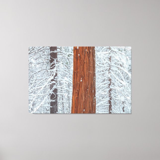 Impressão Em Tela Coberta (Frente)