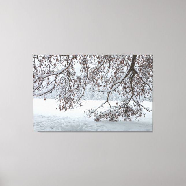 Impressão Em Tela Coberta por neve (Frente)