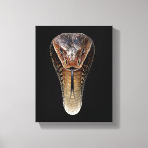 Impressão Em Tela Cobra-Rei