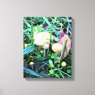 Impressão Em Tela Cogumelos Amarelos Cutos, Oregon