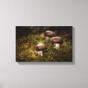Impressão Em Tela Cogumelos na floresta