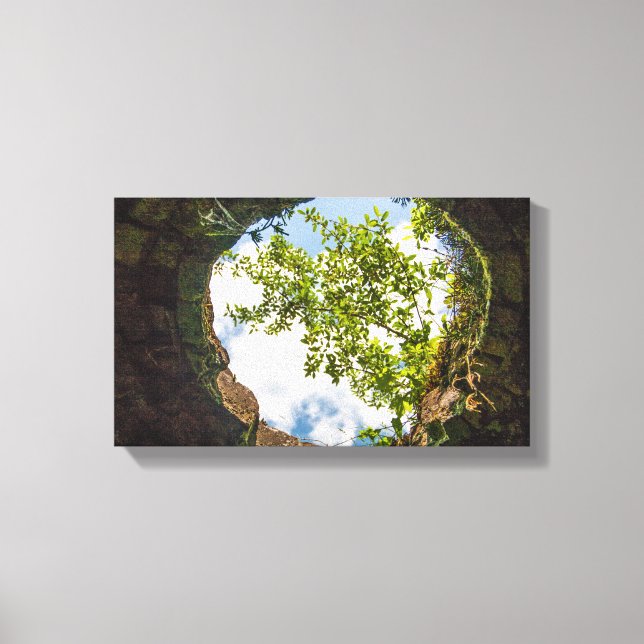 Impressão Em Tela Coketown Coke Oven Ruins, Virgínia Ocidental (Frente)