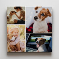 Colagem de Fotos da Família de Cães de Pet Cachorr