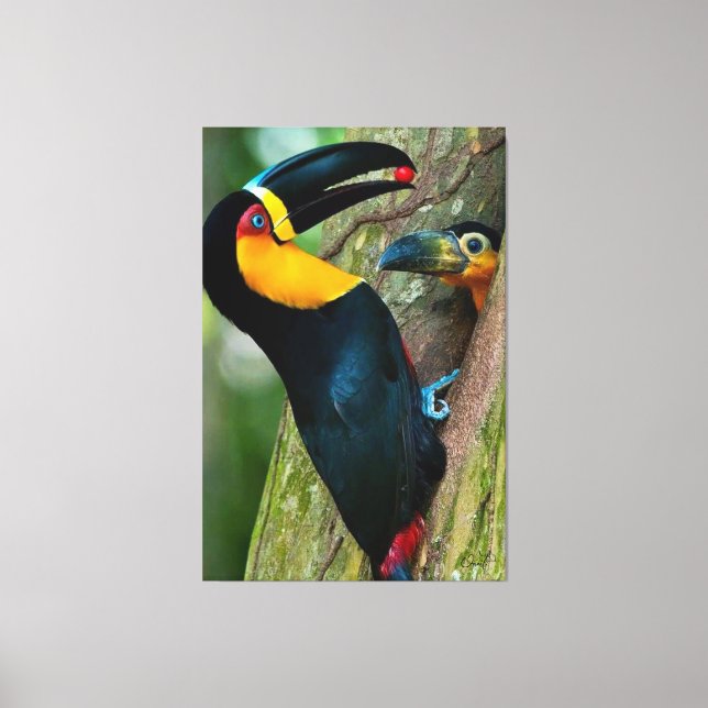 Impressão Em Tela Coleção Onaitsirc Infinity de quadros de tela. (Frente)