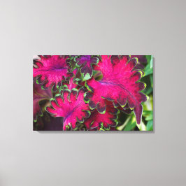 Impressão Em Tela Coleus Macro