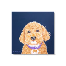 Collegiar Goldendoodle