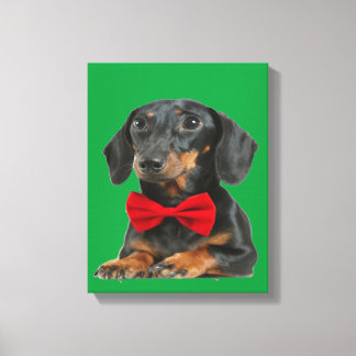 Impressão Em Tela Collie Puppy de Borda Negra