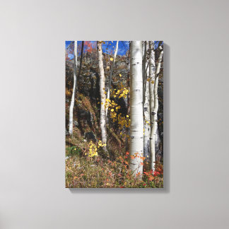 Impressão Em Tela Colorado Aspen Designs