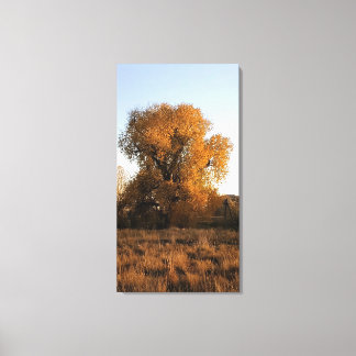 Impressão Em Tela Colorado Beauty