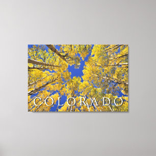 Impressão Em Tela Colorado Outono Floresta de Aspen no Outono