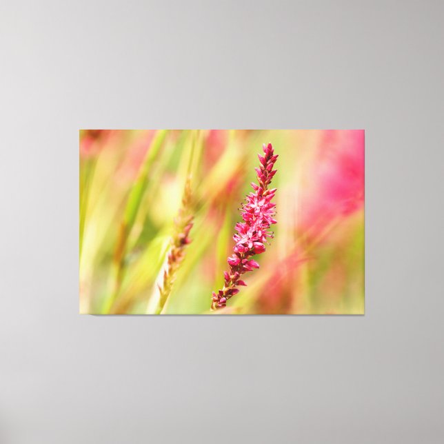 Impressão Em Tela colorbush (Frente)