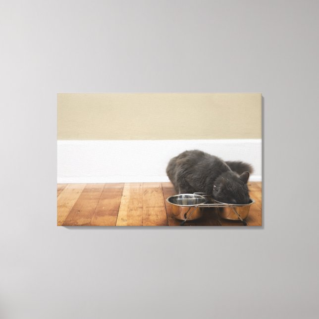 Impressão Em Tela Comida de gato por tigela (Frente)
