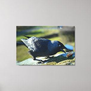Impressão Em Tela Comida de Jackdaw