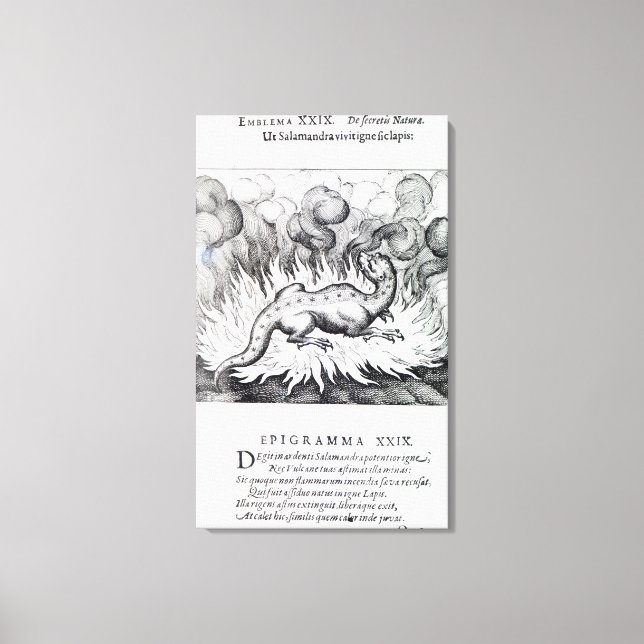 Impressão Em Tela Como a Salamander vive em chamas (Frente)