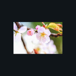 Impressão Em Tela Composição Floral Natural Das Flores Sakura<br><div class="desc">Composição artística floral natural de flores, botões, folhas de sakura contra o fundo liso de cor verde, rosa pálido, branca. Uma pintura digital muito grande a partir de uma fotografia. Impressão floral esticada de tela para decorar seu lugar ou para ser usada como presente em casamentos, aniversários, chás de fraldas...</div>