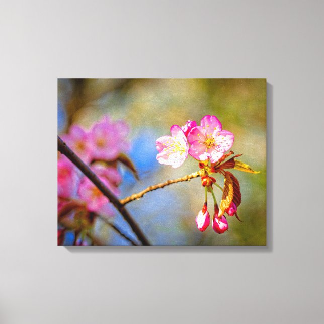 Impressão Em Tela Composição Natural de Flores de Sakura na Primaver (Frente)