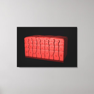 Impressão Em Tela Conceito De Epithélio Escamoso Estratificado 2