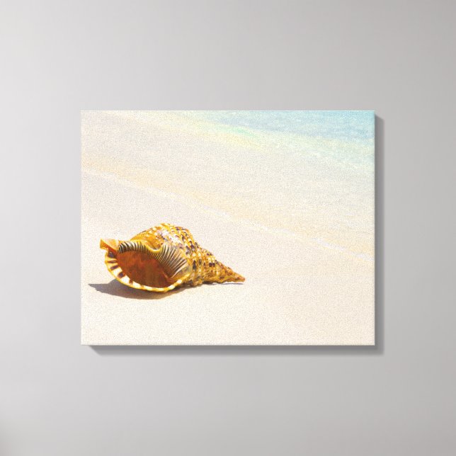 Impressão Em Tela Conch Shell Na Praia 3 (Frente)