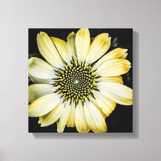 Impressão Em Tela Coneflower Amarelo de Mel
