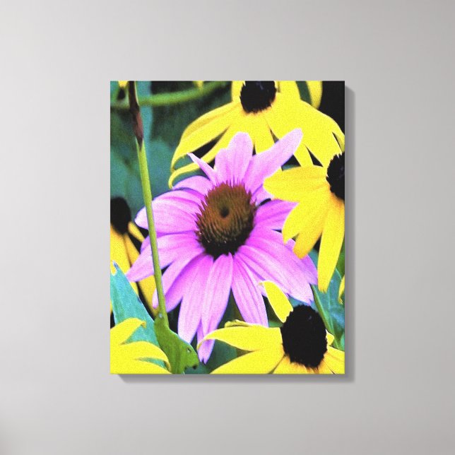 Impressão Em Tela Coneflower Rosa e Roxo com Flores Amarelas (Frente)