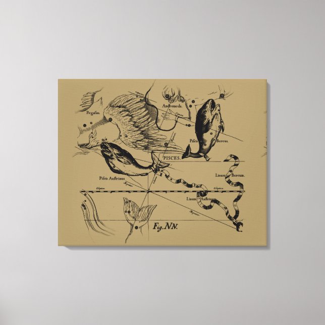 Impressão Em Tela Constelação de peixes Hevelius cerca de 1690 (Frente)