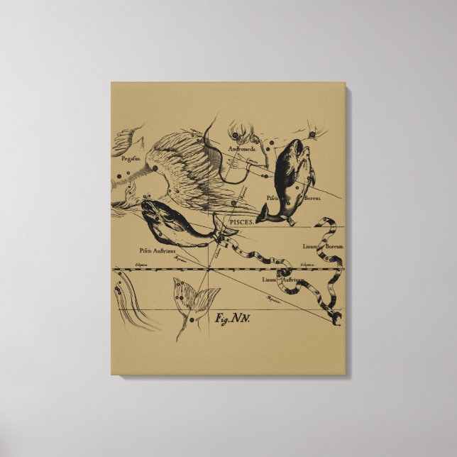 Impressão Em Tela Constelação de peixes Hevelius cerca de 1690 (Frente)