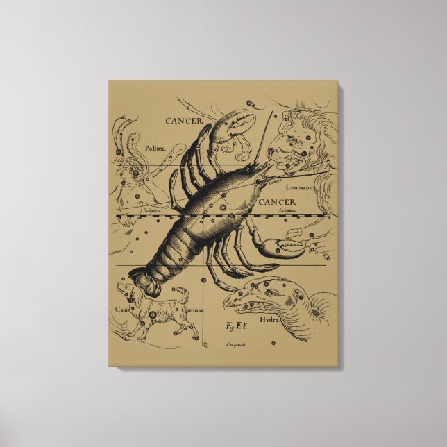 Impressão Em Tela Constelação Zodiac cancer por Hevelius 1690 (Frente)