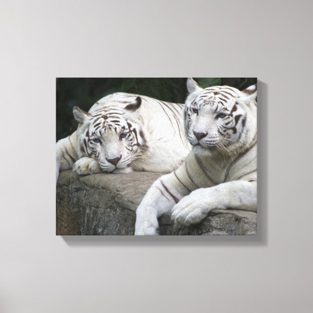 Impressão Em Tela Contemplação (Frente)