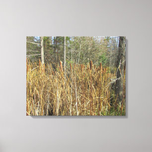 Impressão Em Tela Contos do gato na floresta