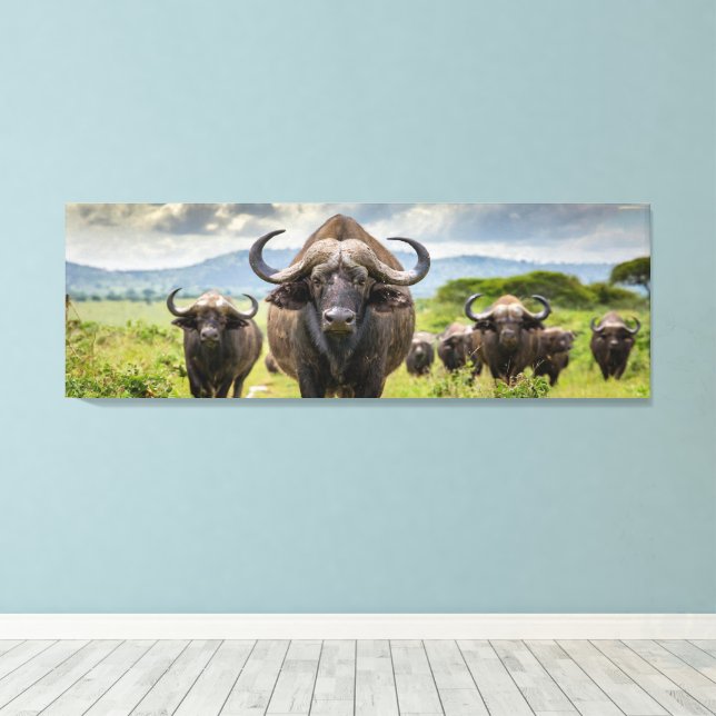 Impressão em Tela Cool Buffalo! (Insitu(piso de madeira))