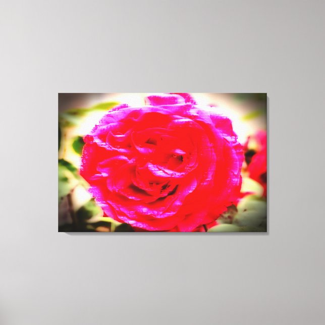 Impressão Em Tela COR DE MOÇÃO de um rosa (Frente)