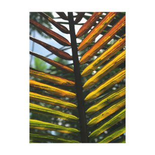 Impressão Em Tela Cor de queda da parede da árvore Palm