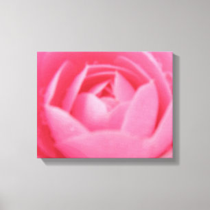 Impressão Em Tela Cor-de-rosa Camellia Flor