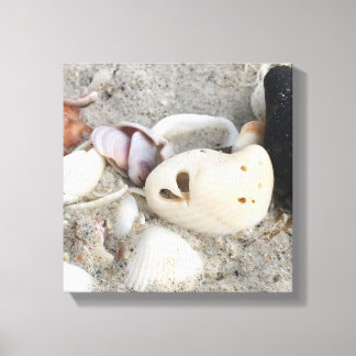 Impressão Em Tela Coração em uma tela de desenho da Shell 12x12 emol