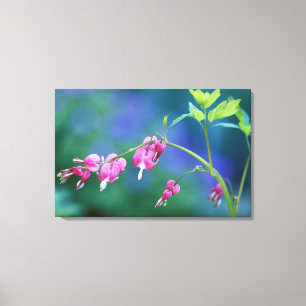 Impressão Em Tela Corações sangrando cor-de-rosa no jardim. Crédi