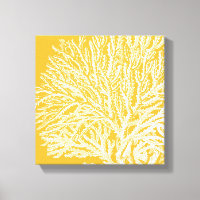 Coral Amarelo e Branco