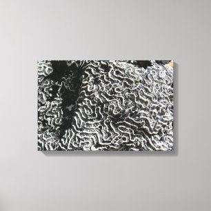 Impressão Em Tela Coral Preto e Branco I Foto Abstrata da Natureza