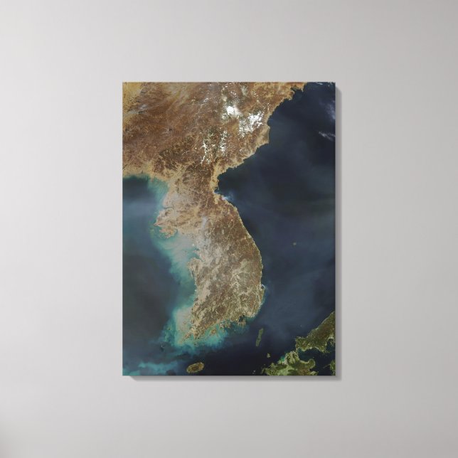 Impressão Em Tela Coreia (Frente)