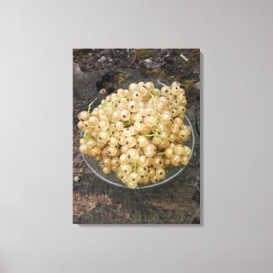 Impressão Em Tela Corintos brancos orgânicos do jardim