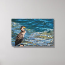 Impressão Em Tela Corvo-excelente Nas Rochas