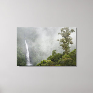 Impressão Em Tela Costa Rica, floresta nublada nas montanhas perto d