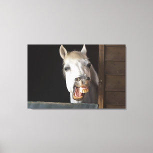 Impressão Em Tela costela do benalamadena, malaga, Costa del Sol, 2