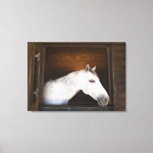 Impressão Em Tela costela do benalamadena, malaga, Costa del Sol, 3