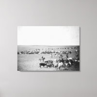 Cowboys with Cattle on the Range Photoião