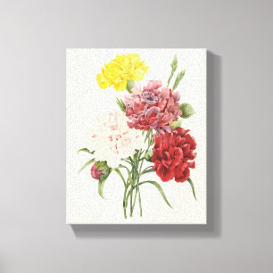 Impressão Em Tela Cravos Antigos Dianthus Flores de Jardim Redoute